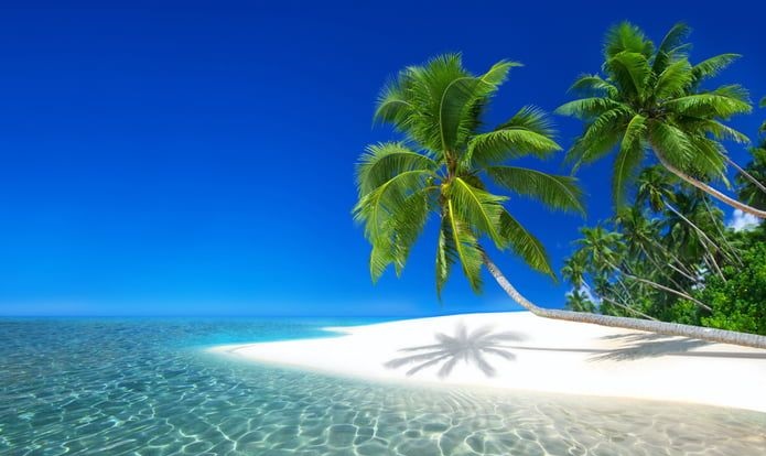 Krásné tyrkysově modré moře s ostrovem a palmami
