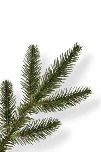 Detail větvičky Umělý vánoční stromek 3D Smrk Kalifornský