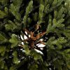 Fotka vnitřní části FULL 3D vánočního stromku.