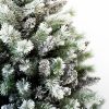 Detail bílého vánočního stromku Borovice Bílá