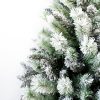 Zasněžené větvičky vánočního stromku Borovice Bílá