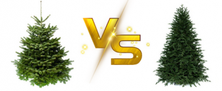 Živý vánoční stromeček versus umělý stromek