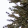 Detail 3D Ihličia Smrek Úzky