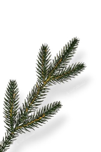 Detail větvičky Umělý vánoční stromek 3D Smrk Alpský