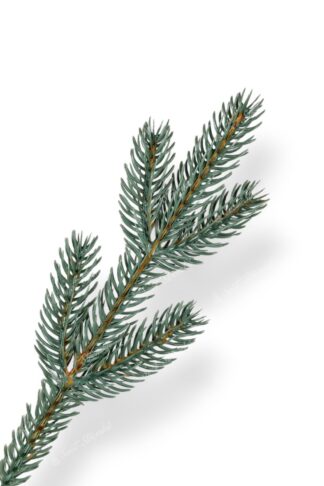 Detail větvičky Umělý vánoční stromek FULL 3D Smrk Ledový