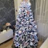vánoční stromek Smrk Severský 180cm