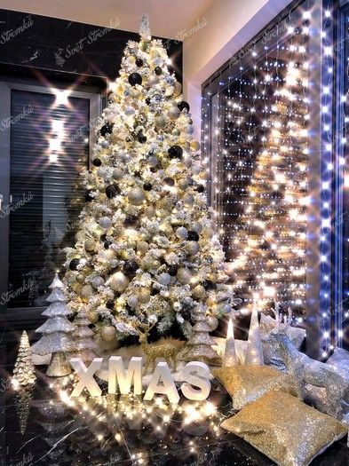 vánoční stromek Borovice Bílá 210cm