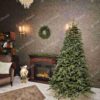 Vánoční stromek FULL 3D Jedle Normandská má husté, přirozeně zelené jehličí