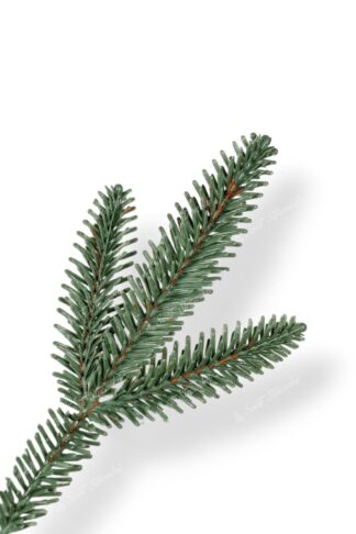 Detail větvičky Umělý vánoční stromek 3D Jedle Stříbřitá