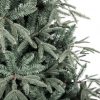 Vánoční stromek 3D Jedle Stříbřitá