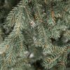 Vánoční stromek FULL 3D Smrk Ledový detail jehličí