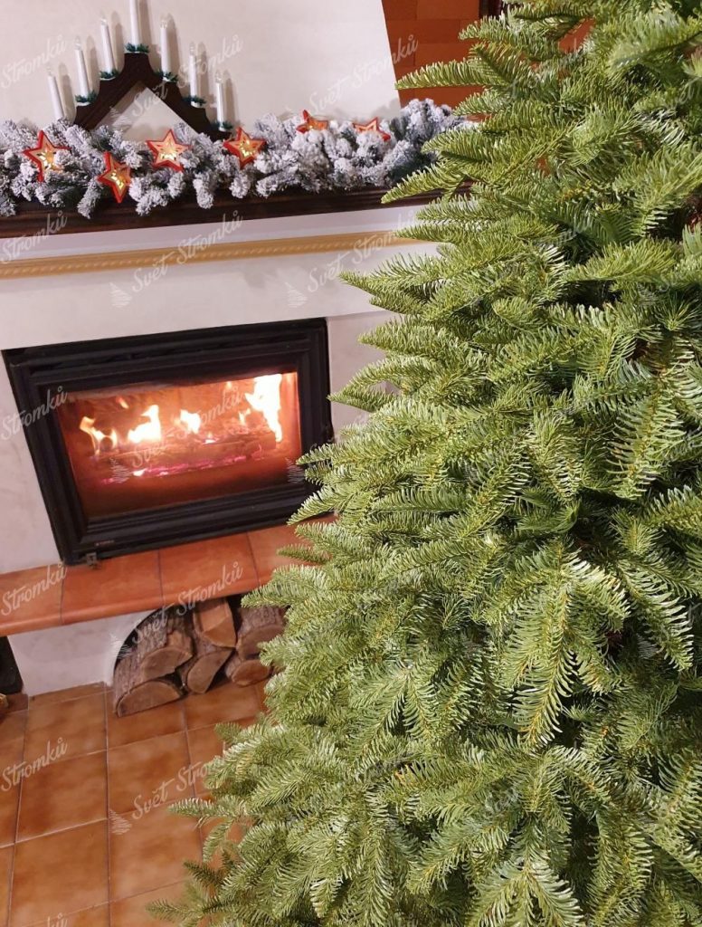 FULL 3D vánoční stromek Jedle Kavkazská
