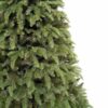 Vánoční stromek 3D Jedle Kavkazská XL detail jehličí