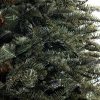 Vánoční stromek FULL 3D Jedle Normandská detail jehličí