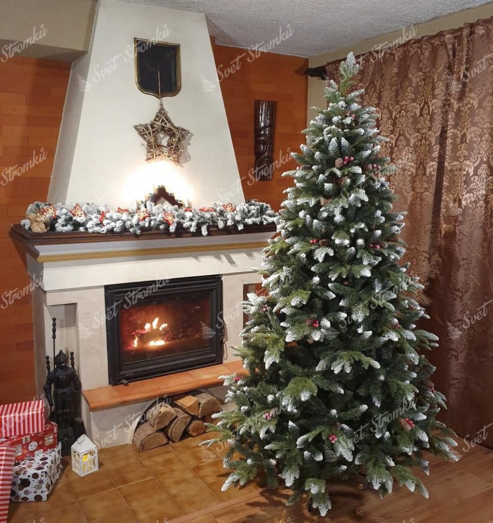 Vánoční stromek Jedle Zasněžená na Vánoce