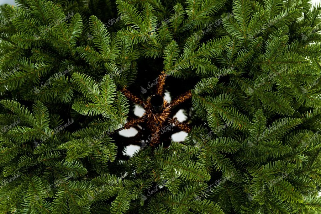 Vánonční stromek FULL 3D Jedle Kavkazská