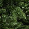 Vánoční stromek FULL 3D Smrk Kalifornský detail jehličí