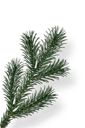 Detail větvičky Umělý vánoční stromek 3D Borovice Tatranská