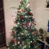 Umělý vánoční stromek 3D Jedle Stříbristá 210cm