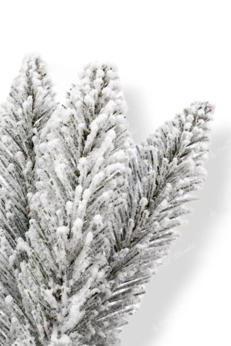 Větvičky vánočního stromku Smrk Bílý
