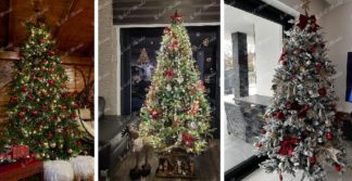 Top 10 nejkrásnějších vánočních stromečku