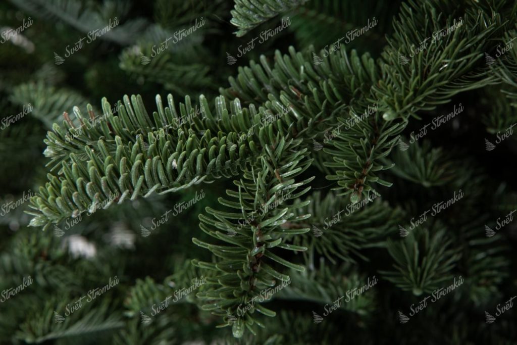 Vánoční stromek 3D Jedle Půvabná XL detail tmavě zeleného jehličí