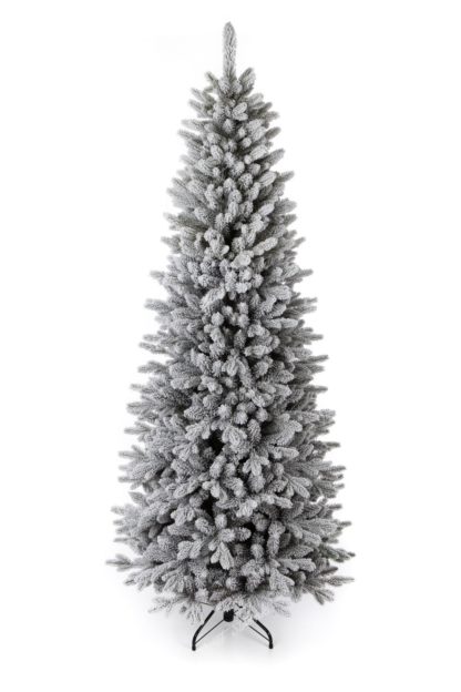 Vánoční stromek 3D Smrk Královský Úzký