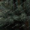 Vánoční stromek v květináči 3D Smrk Ledový detail ledovo zelenýho jehličí