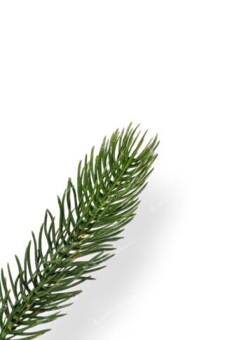Detail větvičky Umělý vánoční stromek 3D Mini Smrk