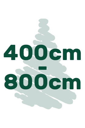 Výška stromčekov 400-800cm