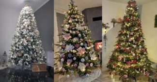 top 10 nejkrásnější vánoční stromky