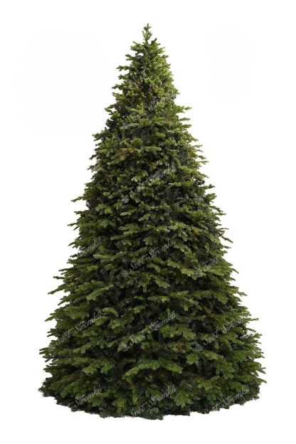 Gigantický vánoční stromek 3D Smrk Exkluziv, stromček má husté zelené ihličie
