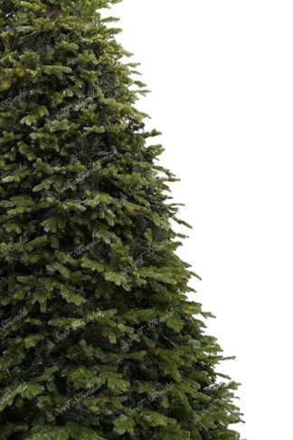 Detail stromku Gigantický vánoční stromek 3D Smrk Exkluziv