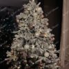Umělý vánoční stromeček 3D Smrk Polární
