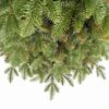 Umelý vianočný stromček 3D Jedľa Kaukazská Úzka detail ihličia