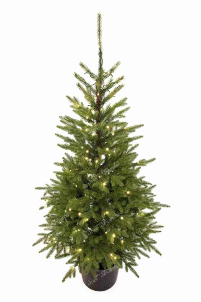 Umělý vánoční stromeček v květináči 3D Smrk Karpatský 150cm 150LED