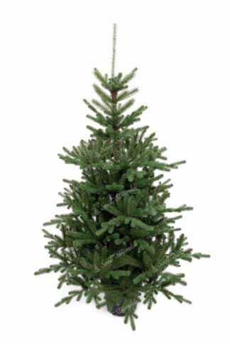 Umělý vánoční stromek v květináči 3D Smrk Tyrolský