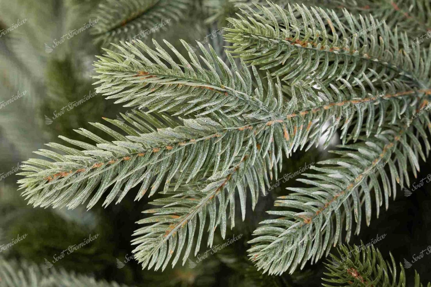 Umělý vánoční stromeček 3D Smrk Vznešený Světlý 250cm