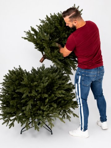 Jak správně postavit vánoční stromek